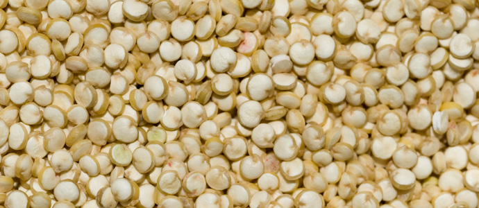 Komosa ryżowa czyli quinoa – przepisy – dietetyk wrocław